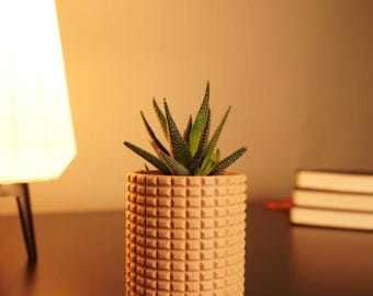 The "Castle" Table Planter