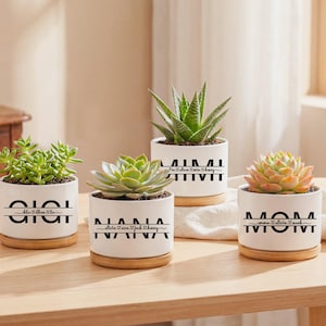 May include: Four white ceramic plant pots with succulents, each on a wooden base. The pots have black text: "Gigi", "Nana", "Mom", and "Alma, Esther, Sherri". The succulents are green and orange.