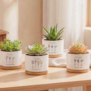 May include: Four white ceramic plant pots with succulents, each on a wooden base. The pots feature a floral design and the text "Growing Garden - love grows here". The succulents are green and orange.