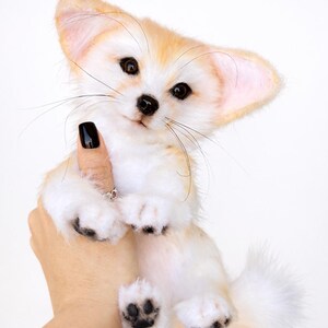May include: A plush Fennec fox toy with large ears, a white body, and tan accents. The toy has black paws and a fluffy tail. The fox is being held up against a white background.