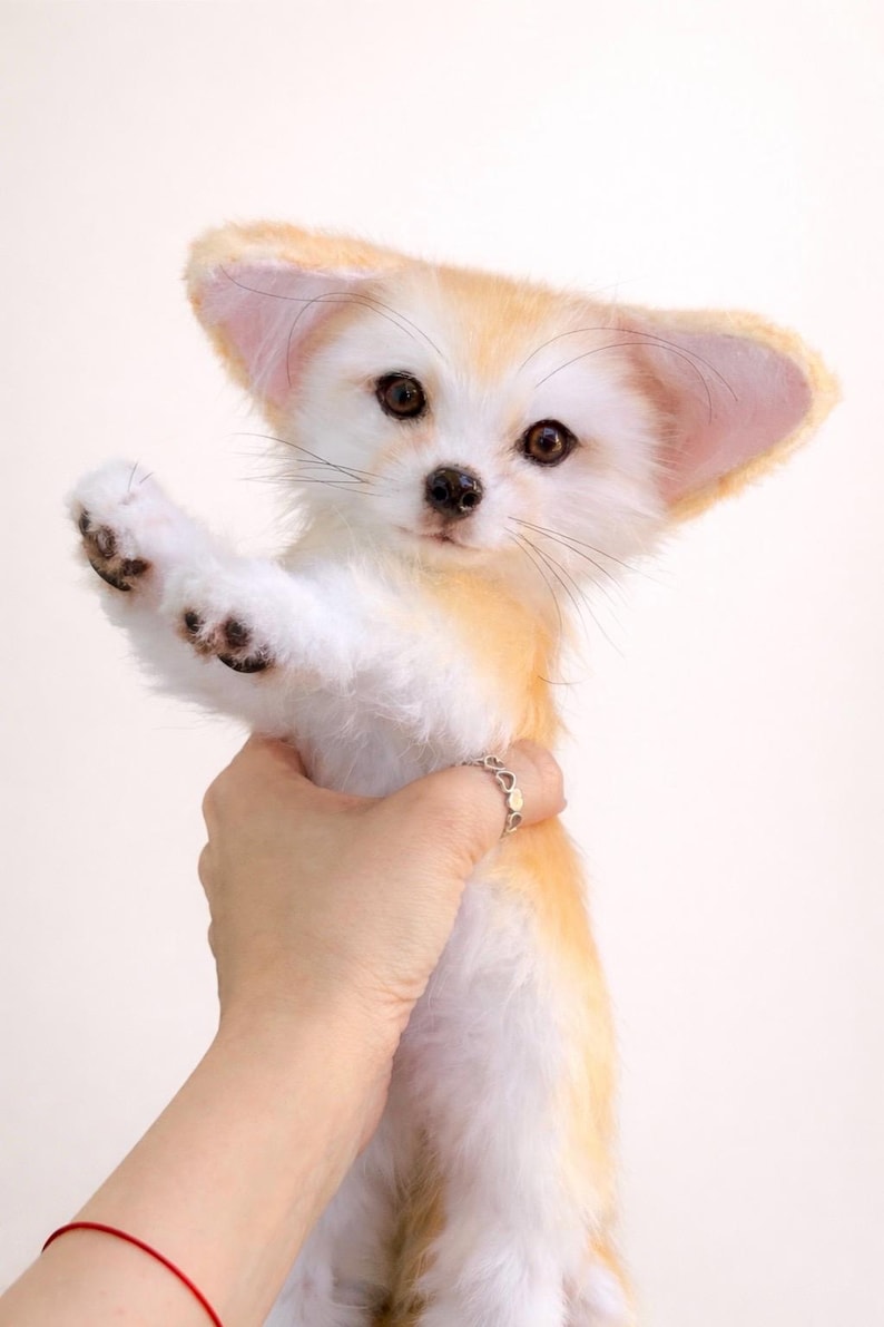 May include: A plush Fennec fox with large ears and a fluffy, white and orange coat. The fox is being held up, with one paw extended. The fox has dark eyes and a black nose. The background is plain white.