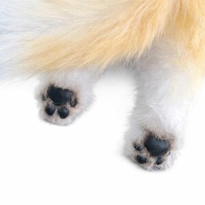 May include: Close-up of a fluffy, light-colored tail and paws. The tail has a gradient of white to light orange fur. The paws are white with black paw pads, showcasing the animal's underside.