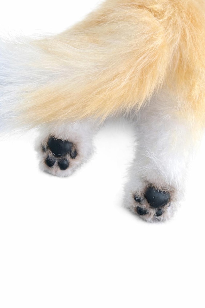 May include: Close-up of a fluffy, light-colored tail and paws. The tail has a gradient of white to light orange fur. The paws are white with black paw pads, showcasing the animal's underside.