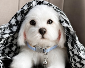 Realistic Maltese Puppy Handmade Teddy Dog, OOAK Collectible Textile Art, Maltese Dog Lover Gift, Home Decor