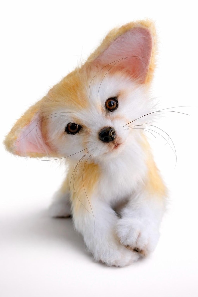 May include: A plush Fennec fox toy with large ears, brown eyes, and a white and tan coat. The fox is posed with its head tilted, giving it a curious expression. The toy is set against a white background.
