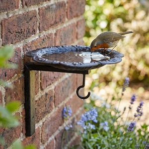 May include: A black metal wall-mounted bird bath with a scalloped edge bowl filled with water. A small robin with a brown back and orange breast stands on the rim, dipping its beak into the water. A curved hook extends downward from the basin.