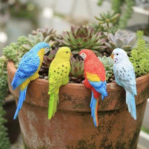 May include: Four bird figurines perched on the rim of a terracotta pot. From left to right, a blue and yellow macaw, a yellow budgerigar with black spots, a red, yellow, and blue macaw, and a light blue and white budgerigar with black spots.