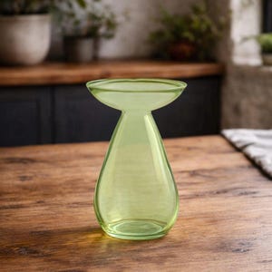 Avocado Growing Vase – Glass Propagation Vase – Grow Your Own Plant – Plant Lover Gift – Hydroponic Vase – Unique Home Decor Green