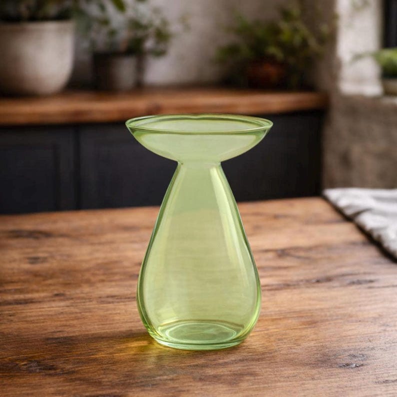 Avocado Growing Vase – Glass Propagation Vase – Grow Your Own Plant – Plant Lover Gift – Hydroponic Vase – Unique Home Decor Green
