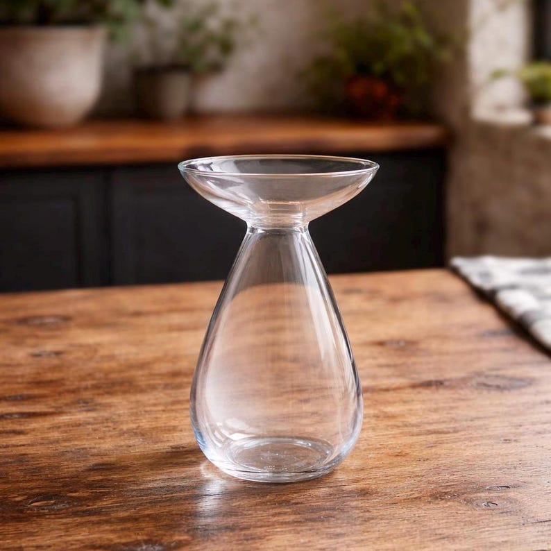 Avocado Growing Vase – Glass Propagation Vase – Grow Your Own Plant – Plant Lover Gift – Hydroponic Vase – Unique Home Decor image 2