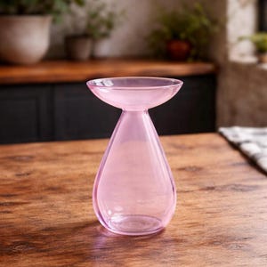Avocado Growing Vase – Glass Propagation Vase – Grow Your Own Plant – Plant Lover Gift – Hydroponic Vase – Unique Home Decor pink