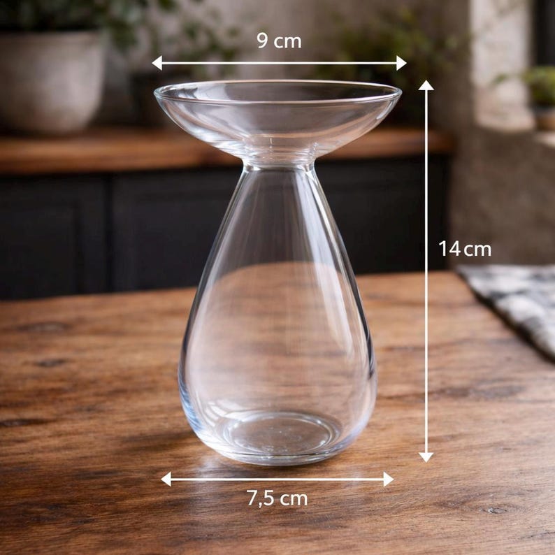 Avocado Growing Vase – Glass Propagation Vase – Grow Your Own Plant – Plant Lover Gift – Hydroponic Vase – Unique Home Decor clear