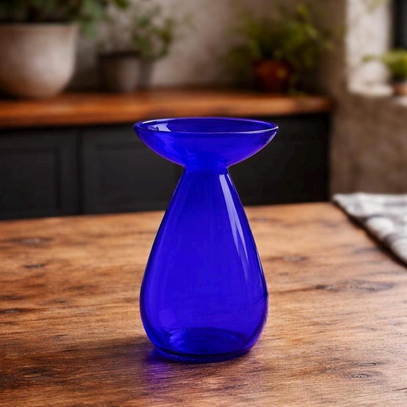 Avocado Growing Vase – Glass Propagation Vase – Grow Your Own Plant – Plant Lover Gift – Hydroponic Vase – Unique Home Decor dark blue