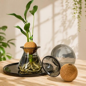 May include: A clear glass terrarium with a dark rim, holding a plant with green leaves and visible roots. A cork ball supports the plant. A black tray and a decorative glass sphere are also present. The terrarium is on a wooden surface.