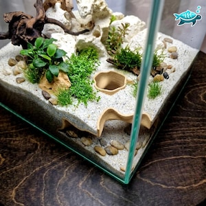 Può includere: Un terrario in vetro con substrato di sabbia bianca, rocce porose chiare, legno scuro e piante acquatiche verdi. L'allestimento include una struttura a tunnel in ceramica color sabbia con un'apertura circolare incassata nella ghiaia.