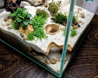 Aquarium Grotte Ocean Corner | Cachette décorative poisson-crevettes | Abri pour cichlidés Betta Pleco