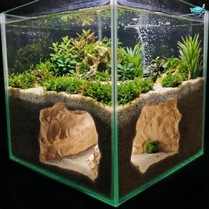 Op de afbeelding: Een vierkant glazen aquarium met een gelaagd substraatontwerp en twee beige, rotsachtige tunnels in het zand. De bovenste laag is beplant met diverse groene waterplanten en mos, terwijl het onderste gedeelte de holle tunnelstructuren onthult.