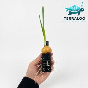 Akvarium hydroponisk planteringslåda 35x34x70