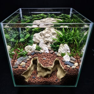 Könnte beinhalten: Ein quadratisches Glasaquarium gefüllt mit Wasser, mit einem Bodengrund aus rotbraunem Kies, mehreren weißen porösen Steinen und grünen Wasserpflanzen. Eine beige, höhlenartige Harzstruktur mit zwei bogenförmigen Öffnungen befindet sich im Vordergrund.