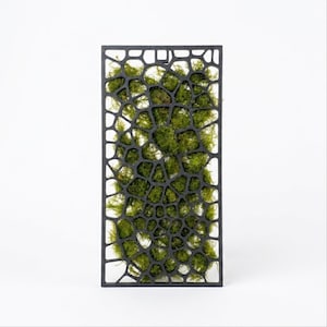 May include: A rectangular, black metal frame with a geometric, organic pattern, filled with vibrant green moss. The moss is densely packed, creating a textured, natural appearance. The frame is set against a plain white background.