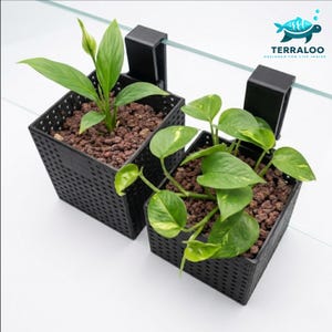 Pode incluir: Duas jardineiras pretas, quadradas e perfuradas com plantas verdes. As jardineiras têm um suporte para pendurar na borda de uma superfície de vidro. Uma tem uma planta com folhas longas e verdes e um botão branco. A outra tem folhas em forma de coração.