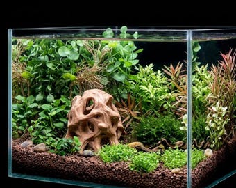 Gnarled Root Aquarium Cave | 3D Printed PETG Fish Hideout, Betta Shrimp Aquascape Decor