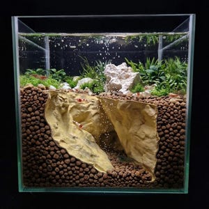 Op de afbeelding: Een vierkant glazen aquarium met een dwarsdoorsnede van een substraatlaag met bruine kleikorrels en een centrale beige rotsformatie. De tank bevat groene waterplanten, witte poreuze stenen en kleine rood-witte garnalen.