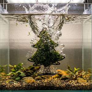 Aquarium Moss Grow Out Frame: Christmas Tree Moss Holder for Aquascaping Shrimp Tank Decor