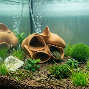 Può includere: Un ornamento per acquario in terracotta caratterizzato da un gruppo di tubi cavi interconnessi dalle forme organiche e superfici lisce. La struttura è posizionata su un substrato marrone scuro tra piante acquatiche e una palla di muschio verde.