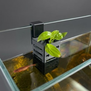 Peut inclure: Un support de plante pour aquarium en plastique noir imprimé en 3D avec un design en cage rectangulaire, monté sur le bord en verre d'un réservoir. Une petite plante aquatique verte pousse dans le support, avec un poisson rayé en dessous.