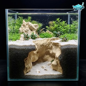 Op de afbeelding: Een vierkant glazen aquarium met een dwarsdoorsnede van een landschap met een diepe beige rotskloof, witte zandbodem en donkergrijze grondlagen. Het bovenste gedeelte bevat weelderige groene waterplanten en getextureerde beige rotsen.