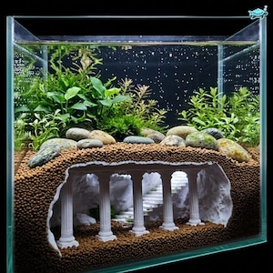 Op de afbeelding: Een glazen aquarium met een witte architecturale structuur met zuilen en trappen ingebed in een bruin substraat. Het display bevat diverse groene waterplanten en gladde grijze rivierstenen die bovenop het substraat zijn gerangschikt.