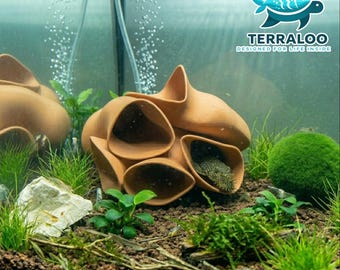 Kryjówka jaskiniowa w akwarium Pleco Hotel – dekoracja akwarium