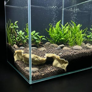 Op de afbeelding: Een vierkant glazen aquarium gevuld met donkerbruin substraat en diverse groene waterplanten. Een lichtgekleurde, golvende rotsstructuur met meerdere kamers is in het substraat verwerkt, wat tunnels en grotten creëert.