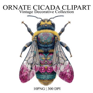 Op de afbeelding: Een digitale illustratie van een cicade met sierlijke, kleurrijke patronen in magenta, taling en goud. De tekst ORNATE CICADA CLIPART Vintage Decorative Collection en 10PNG | 300 DPI staat boven en onder het insect afgebeeld.