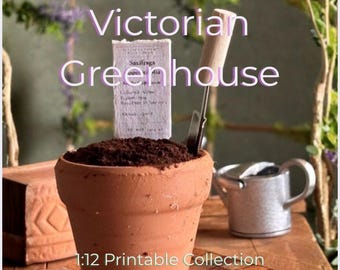 Miniature Herbarium Sheets – Botanical Specimen Labels – Dollhouse Plant Records – Vintage Botanical Cabinet – 1:12 Scale Printables