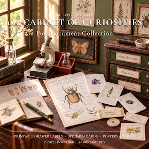 Könnte beinhalten: Eine digitale Download-Sammlung mit dem Titel Valevellum Estate 1:12 Cabinet of Curiosities, bestehend aus druckbaren Schubladenetiketten, Probenkarten, Postern und Drucken. Das Set enthält Insektenanatomie-Diagramme, botanische Illustrationen und wissenschaftliche Etiketten.
