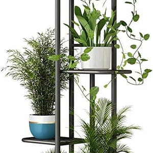 May include: A black metal plant stand with four shelves, each holding potted plants. The plants vary in size and type, with green foliage. The pots are in various colors, including blue, white, and gold. The stand is on a white background.