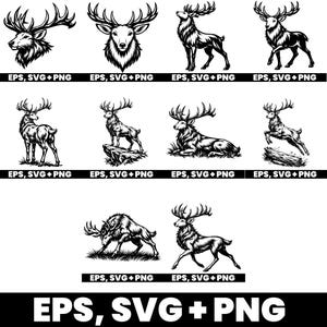 Könnte beinhalten: Eine Sammlung von Schwarz-Weiß-Hirschillustrationen in verschiedenen Posen, darunter stehend, springend und ruhend. Jedes Design zeigt detaillierte Geweihe und Fell. Der Text "EPS, SVG + PNG" ist unter jedem Bild enthalten.