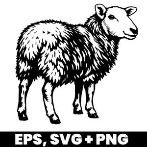 Puede incluir: Ilustración en blanco y negro de una oveja sobre un fondo blanco. La oveja tiene un pelaje espeso y mira hacia la derecha. La imagen incluye el texto "EPS, SVG + PNG" en la parte inferior.