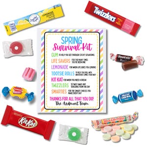 Spring Appreciation Survival Kit Gift Bag – Teacher Thank You Favor, Staff Employee Appreciation