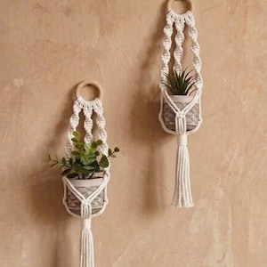 Könnte beinhalten: Zwei Makramee-Pflanzenaufhänger mit Holzringen und weißem Seil. Jeder hält eine kleine Topfpflanze mit grünem Laub. Die Aufhänger sind vor einer neutral getönten Wand aufgehängt und schaffen eine minimalistische, böhmische Ästhetik.