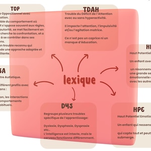 May include: A pink infographic with the word "lexique" in the center, surrounded by text boxes describing various conditions, including TDAH, TSA, and HPI. The text is in French.