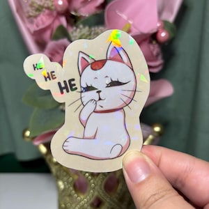Holographic Turbo Baba Sticker | Water Resistant Anime Decals | Granny Cat Sticker