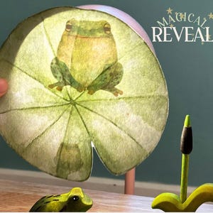 Puede incluir: Un recorte circular y translúcido de hoja de nenúfar con una ilustración de una rana verde. El texto MAGICAL REVEAL con pequeñas estrellas está impreso en la esquina superior derecha. Una pequeña figura de rana y una planta de madera están abajo.