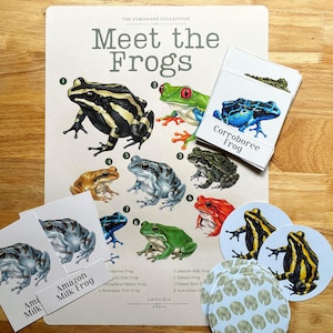 以下が含まれることがあります： Meet the Frogsと題された大きなポスターを含むカエルをテーマにした教材セット。8種類のカエルのイラストが番号付きで描かれており、カエルの絵が印刷された長方形のカードや円形のステッカーが複数添えられています。