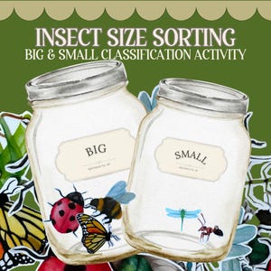 May include: An educational insect size sorting activity featuring two clear glass jars labeled BIG and SMALL. The jars are surrounded by watercolor illustrations of various insects including a monarch butterfly, ladybug, bee, and dragonfly.