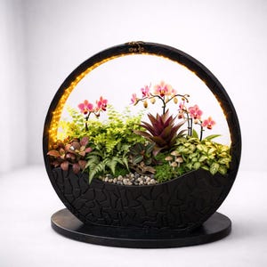 Op de afbeelding: Een zwart, cirkelvormig terrarium met ingebouwde verlichting, met een miniatuurtuin. De tuin bevat roze orchideeën, diverse groene planten, kleine paddenstoelen en kiezelstenen. Het terrarium staat op een ronde basis.