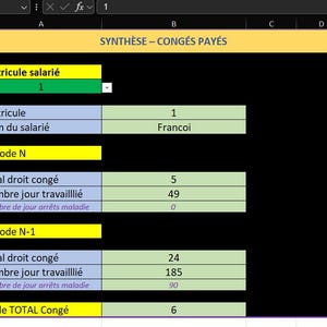 May include: A screenshot of a spreadsheet with the title "SYNTHÈSE - CONGÉS PAYÉS". The spreadsheet contains data in rows and columns, with labels in French such as "Matricule salarié", "Total droit congé", and "Solde TOTAL Congé".
