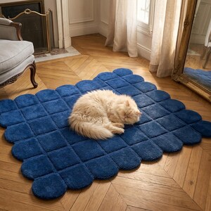 a cozy and comfortable surface underfoot. Made with premium quality materials, the rug is durable, stylish, and suitable for everyday use. This contemporary designer rug is ideal